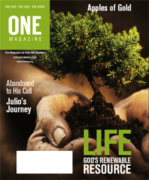 cover 18 image